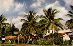 Gray's Inn Miami Beach, FL Postcard Postcard