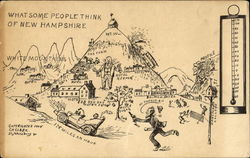 What Some People Think Of New Hampshire Postcard