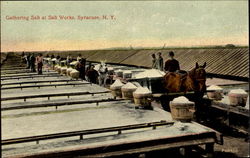 Gathering Salt At Salt Works Postcard