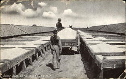 Solar Salt Vats Postcard