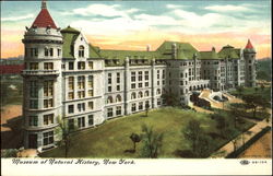 Museum Of Natural History New York, NY Postcard Postcard