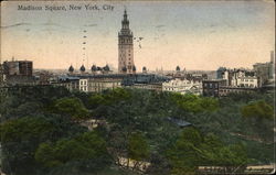 Madison Square Postcard