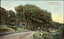 View Of Lower State Street Postcard