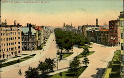 Commonwealth Avenue Postcard