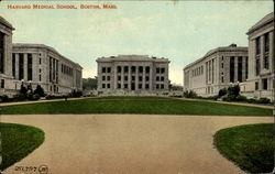 Harvard Medical School Postcard