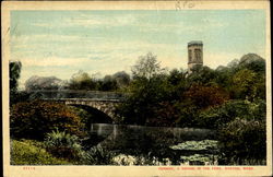 Fenway A Bridge In The Fens Postcard