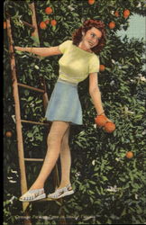 Orange Picking Time In Sunny Florida Postcard