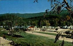 Deer Trail Park Family Campground, U. S. 21 Wytheville, VA Postcard Postcard