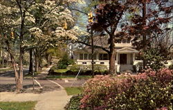 Sumter In The Spring Postcard