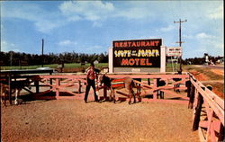 South Of The Border, Highway 301 and 501 Postcard