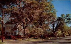 Street Scene Manning, SC Postcard Postcard