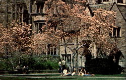 Springtime In Branford College Courtyard, Yale University Postcard