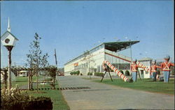 Fair Grounds Postcard