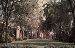 Sterling Divinity Quadrangle, Yale University Postcard