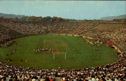 Yale Bowl New Haven, CT Postcard Postcard