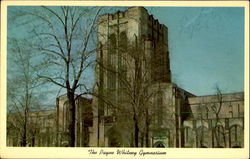 The Payne Whitney Gymnasium, Yale University Postcard