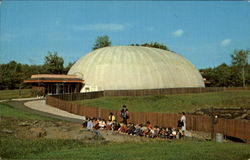 Dinosaur State Park Rocky Hill, CT Postcard Postcard