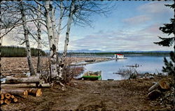 Log Boom Connecticut Logging Postcard Postcard