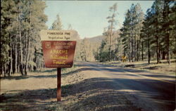 Apache National Forest Postcard