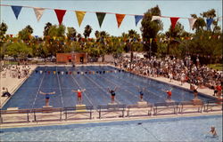 Encanto Park Pool Postcard