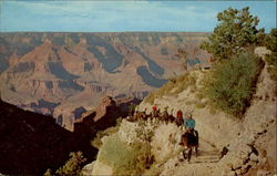 By Mule Train Into The Grand Canyon, Grand Canyon National Park Arizona Postcard Postcard