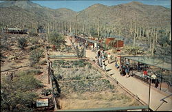 Watershed Exposition, Arizona -Sonora Desert Museum Tucson, AZ Postcard Postcard