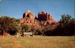 Famous Cathedral Rock Postcard