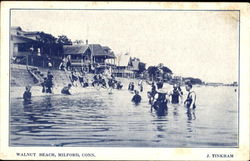 Walnut Beach Postcard