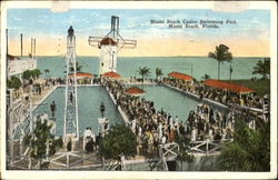 Miami Beach Casino Swimming Pool Postcard