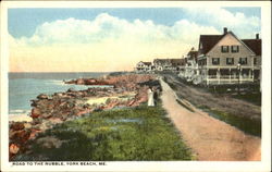 Road To The Nubble Postcard