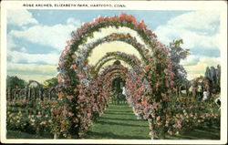 Rose Arches, Elizabeth Park Hartford, CT Postcard Postcard