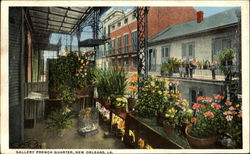 Gallery French Quarter Postcard