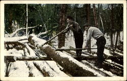 Logging in Winter Postcard