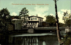 Pequabuck River Looking West Postcard