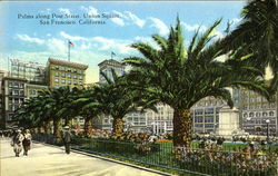 Palms Along Post Street, Union Square San Francisco, CA Postcard Postcard