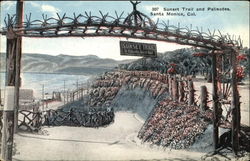 Sunset Trail And Palisades Santa Monica, CA Postcard Postcard