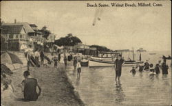 Walnut Beach Scene, Walnut Be Milford, CT Postcard Postcard