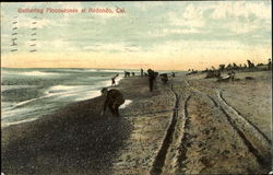 Gathering Moonstones At Redondo Postcard