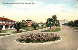 Occidental Boulevard Postcard