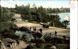 The Drive West Lake Park Los Angeles, CA Postcard Postcard