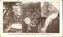 Scenes Around Richardson Mineral Springs, Butte County Chico, CA Postcard Postcard