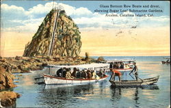 Glass Bottom Row Boats And Diver, Avalon Santa Catalina Island, CA Postcard Postcard