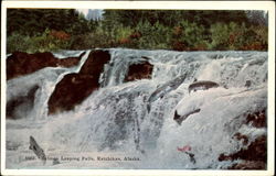 Salmon Leaping Falls Postcard