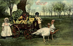 The Birds That Made Three Oaks Famous Michigan Postcard Postcard