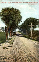 Road To Old Orchard Postcard