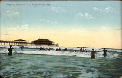 Bathing Scene At Old Orchard Postcard