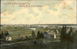 View At West Jonesport Postcard