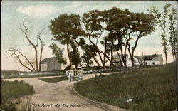 The Willows York Beach, ME Postcard Postcard