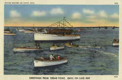 Motor Boating on Sunny Seas, Cedar Point Lake Erie, OH Postcard Postcard