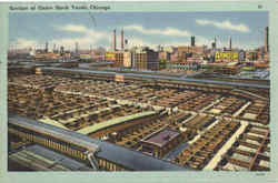 Section of Union Stock Yards Chicago, IL Postcard Postcard